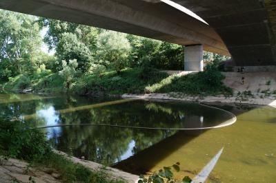 Oelfilm auf dem Altneckar sorgt fuer Feuerwehreinsatz in Freiberg a.N.